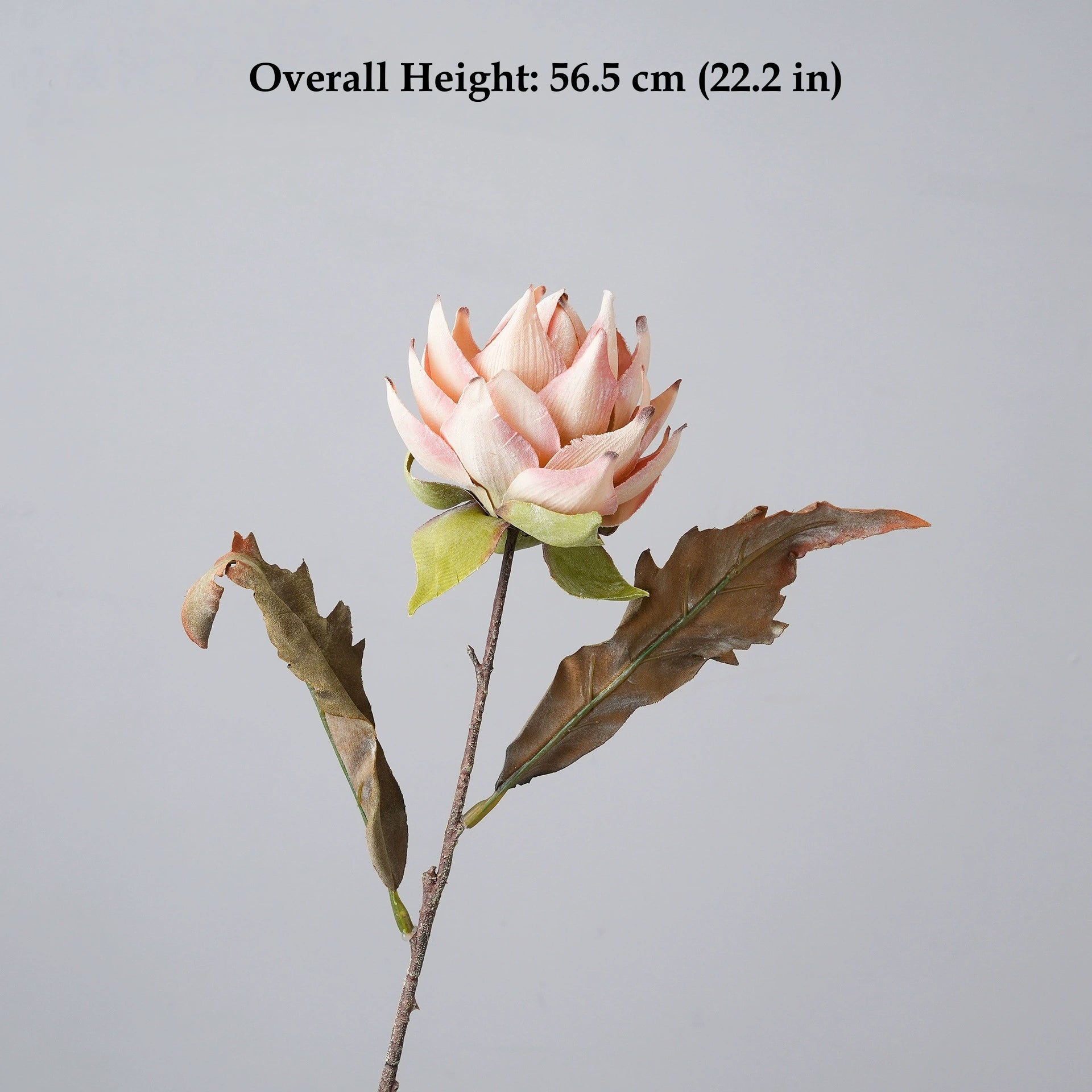 Blush pink artificial king protea flower stem with realistic petals and vintage green leaves