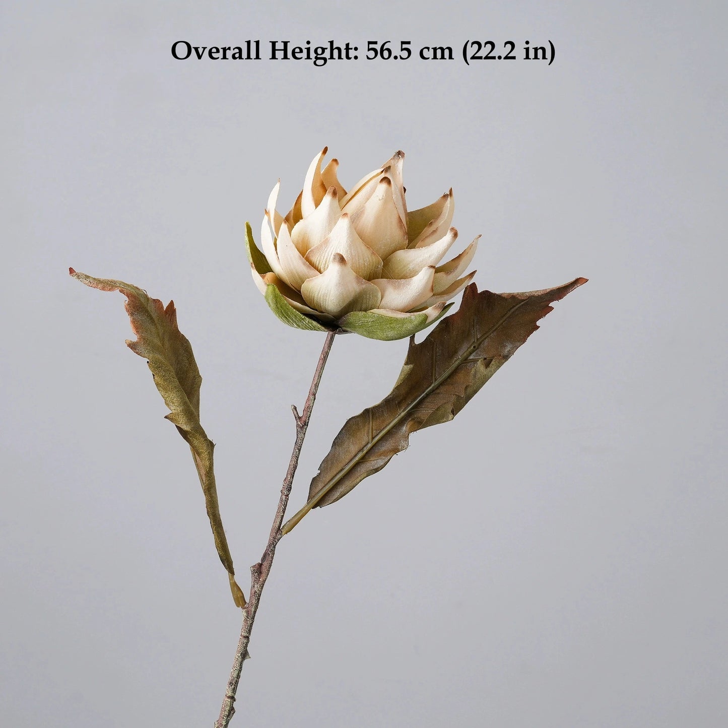 Ivory beige faux king protea stem with lifelike petals for elegant home decor
