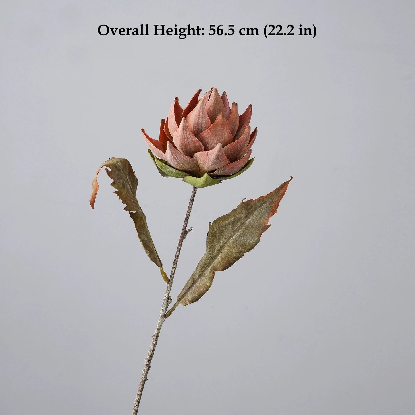 Burnt orange artificial protea flower stem with rustic leaves and vintage floral style