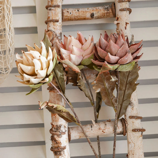 Mixed artificial king protea flower stems displayed on rustic ladder for vintage home decor