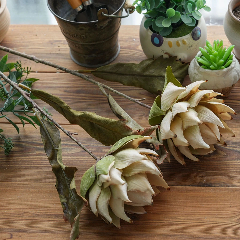 Ivory beige artificial king protea flower stems on wooden table for rustic home decor