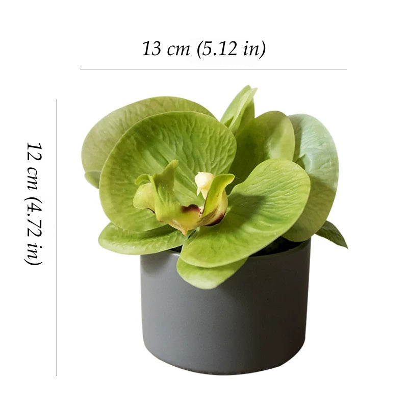 mini artificial orchid in pot green phalaenopsis small potted plant decor