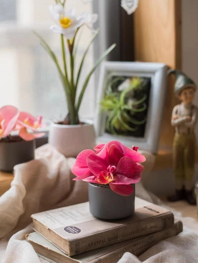 mini artificial orchid in pot table decor home styling scene