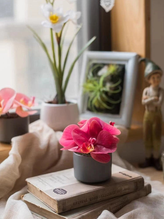 mini artificial orchid in pot table decor home styling scene