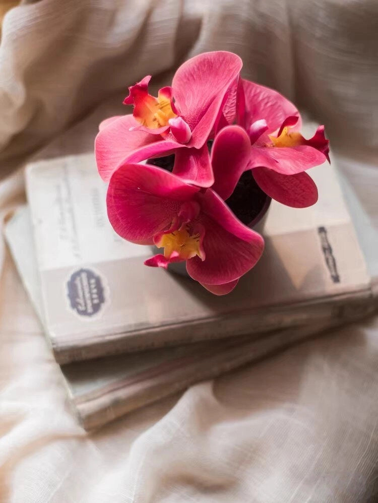 mini artificial orchid red orchid book styling home decor