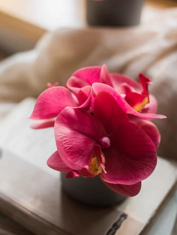 mini artificial orchid red phalaenopsis cozy home decor styling