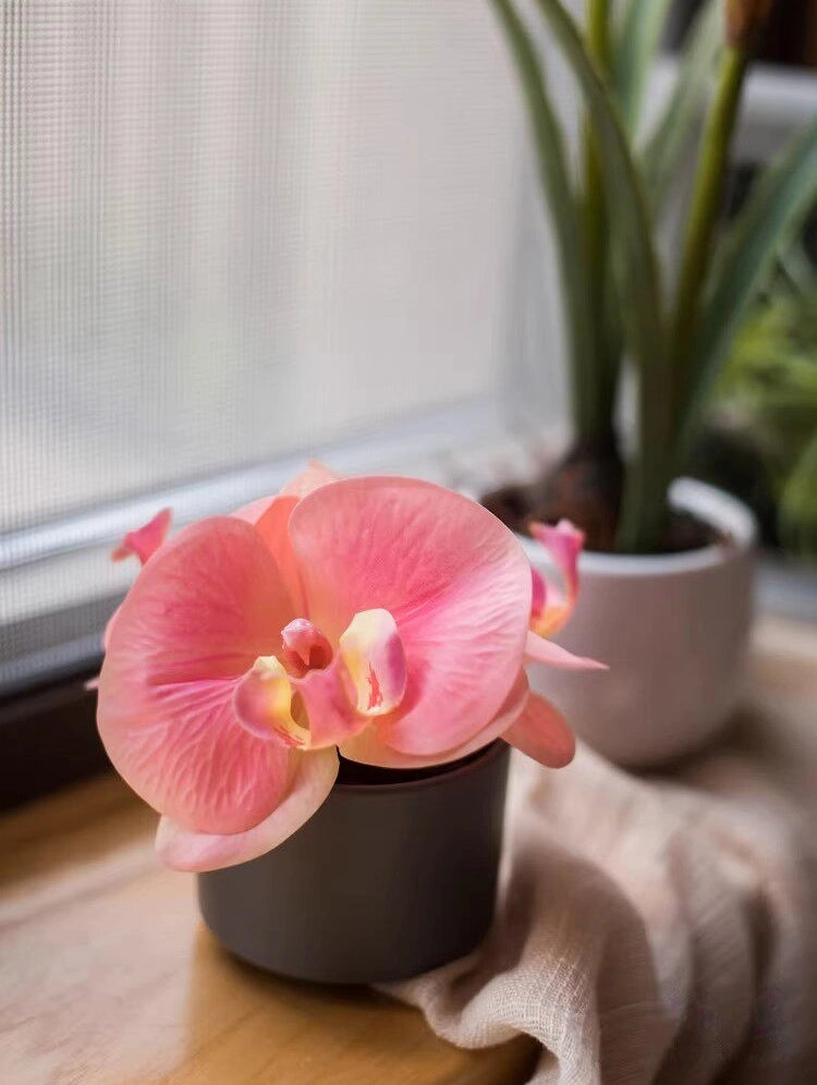 mini artificial orchid soft pink orchid natural light decor