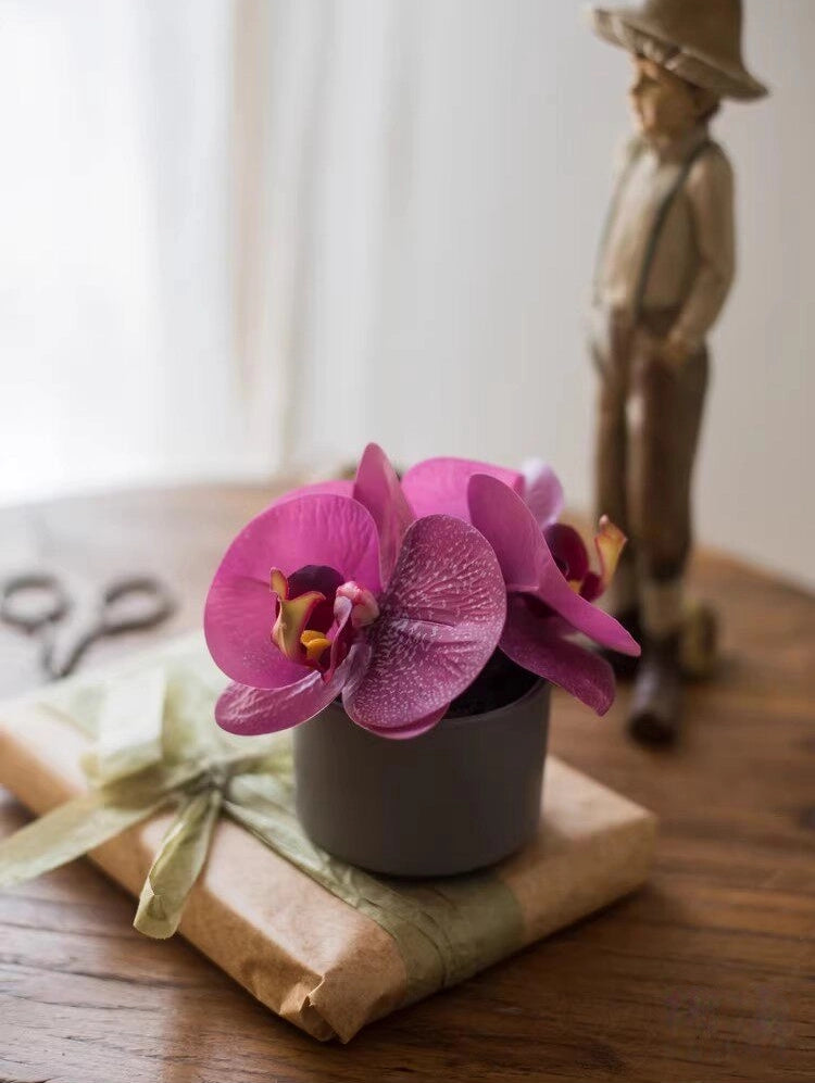mini artificial orchid purple orchid shelf styling home decor