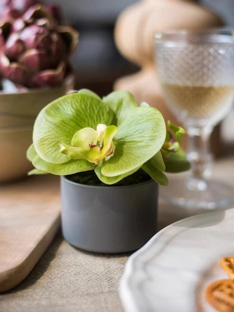 mini artificial orchid green orchid dining table decor