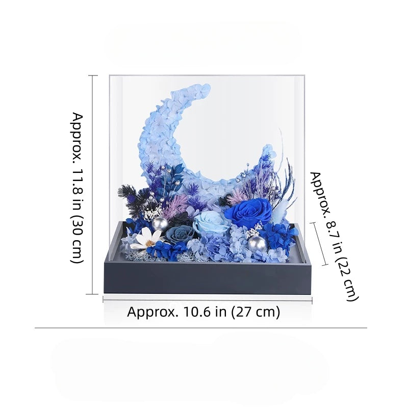 blue aurora preserved flower moon arrangement in acrylic cover, modern decor, size dimensions details