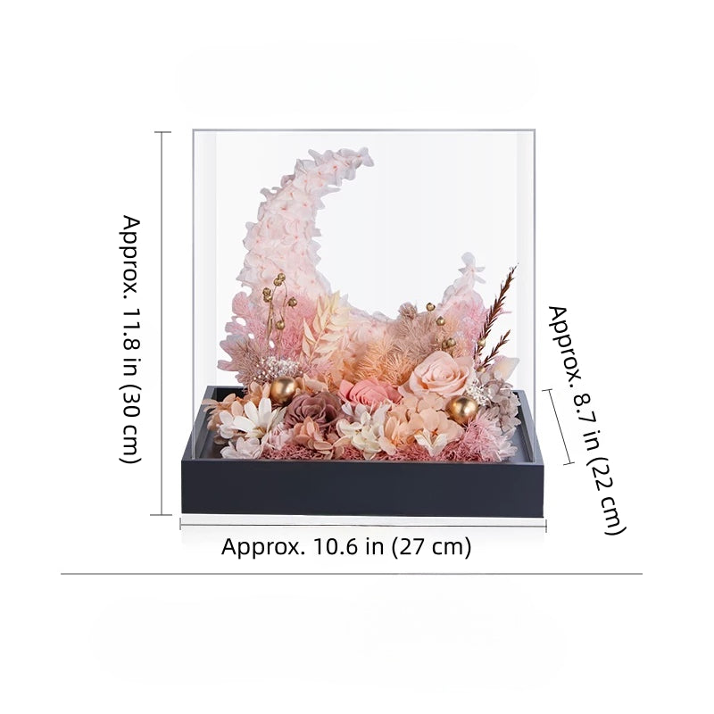 blush preserved flower moon arrangement with roses in acrylic cover, elegant decor, size dimensions details