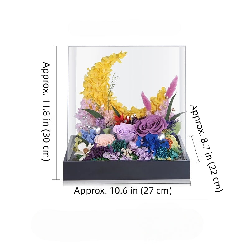 golden sunrise preserved flower moon arrangement in acrylic cover, home decor, size dimensions details