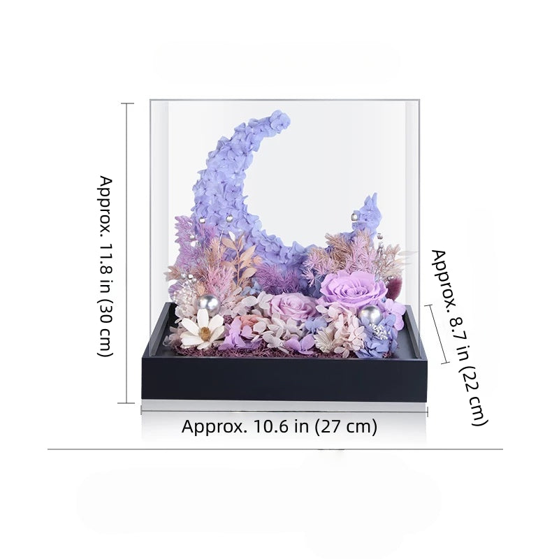 lavender preserved flower moon arrangement in acrylic cover, romantic decor, size dimensions details