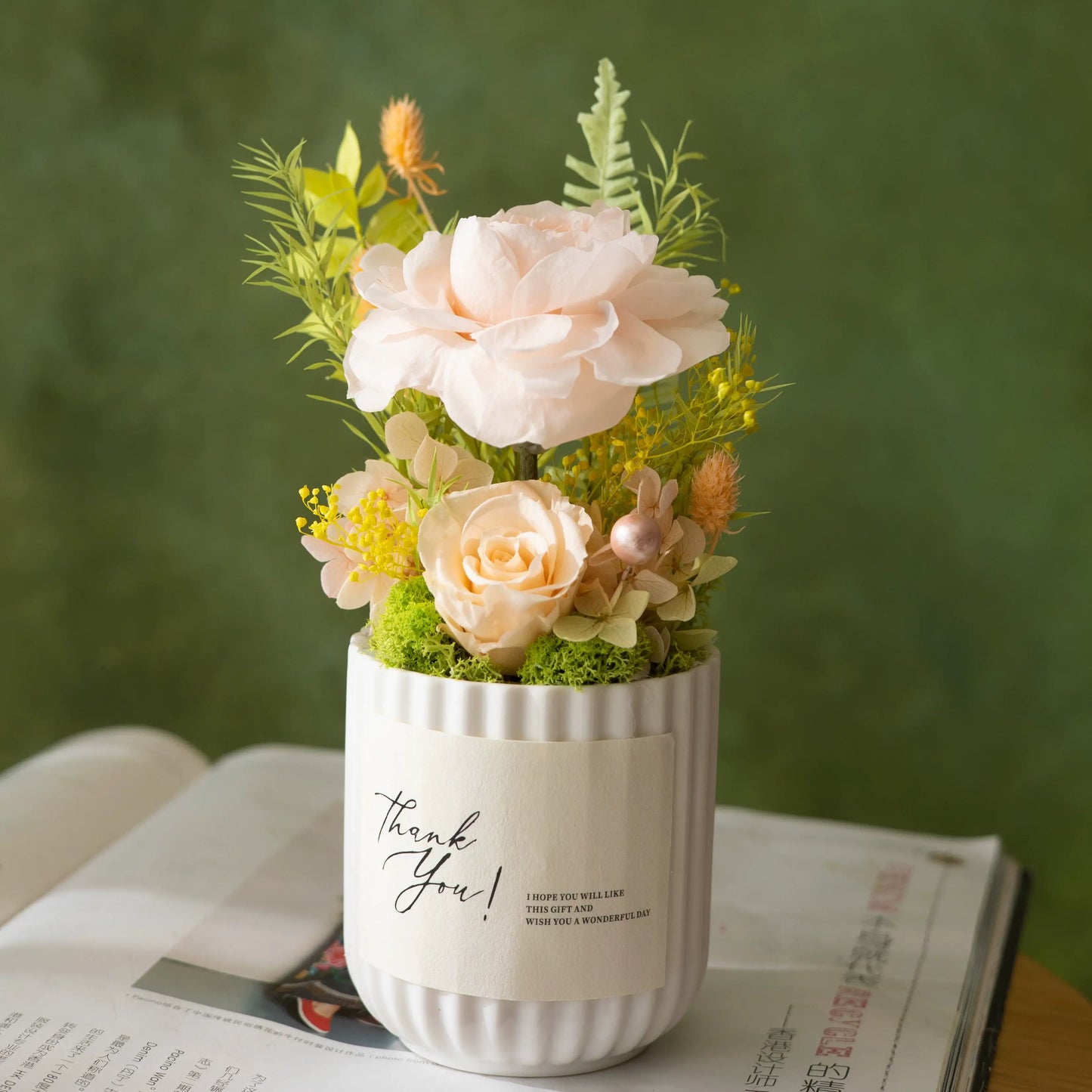 Preserved Austi Rose Mini Potted Plant Gift Home Decor Austin Rose Champagne