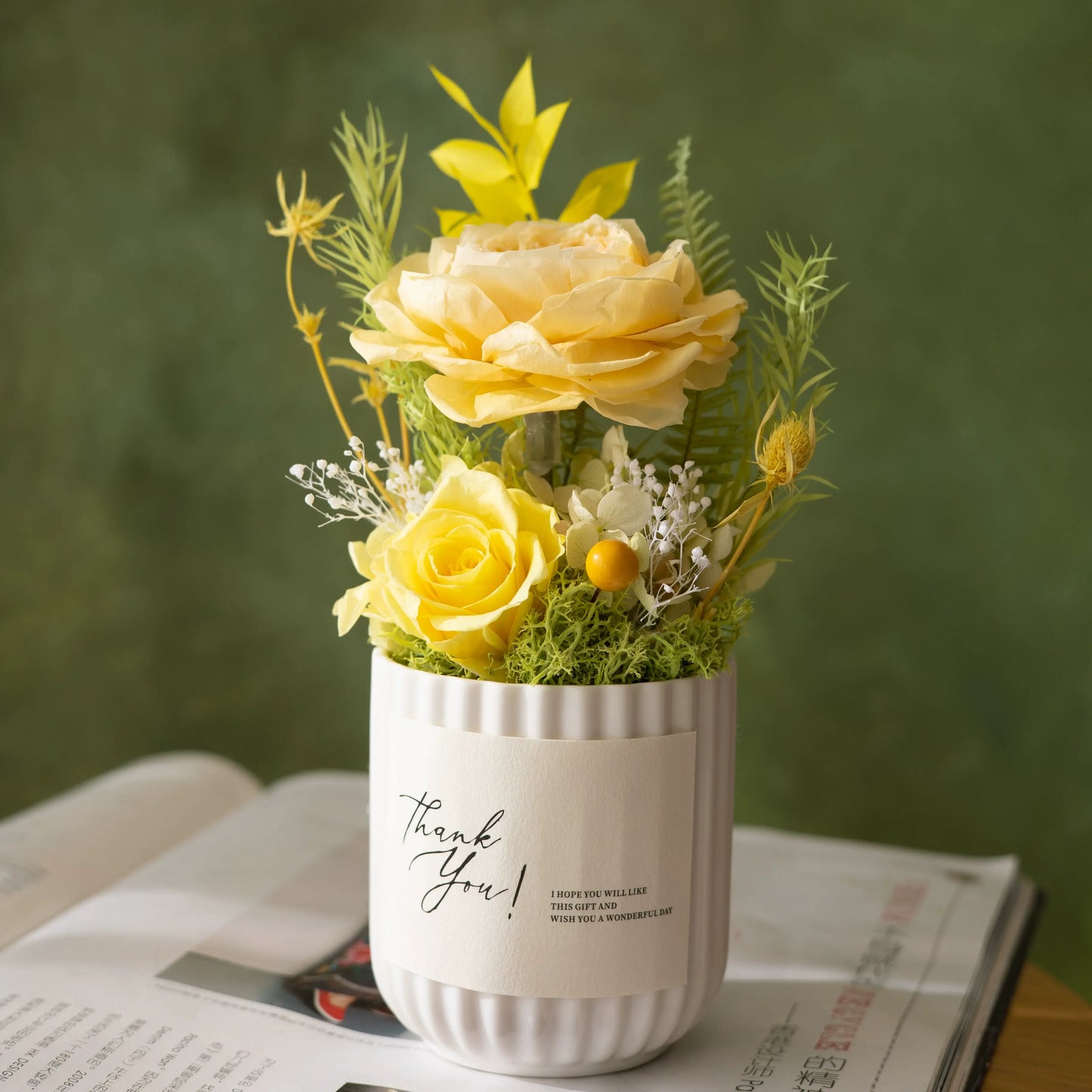 Preserved Austi Rose Mini Potted Plant Gift Home Decor Austin Rose Yellow