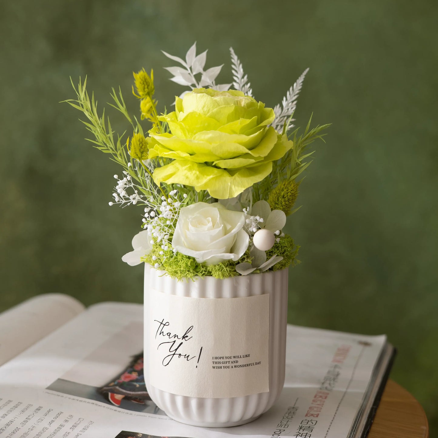 Preserved Austi Rose Mini Potted Plant Gift Home Decor Austin Light Green
