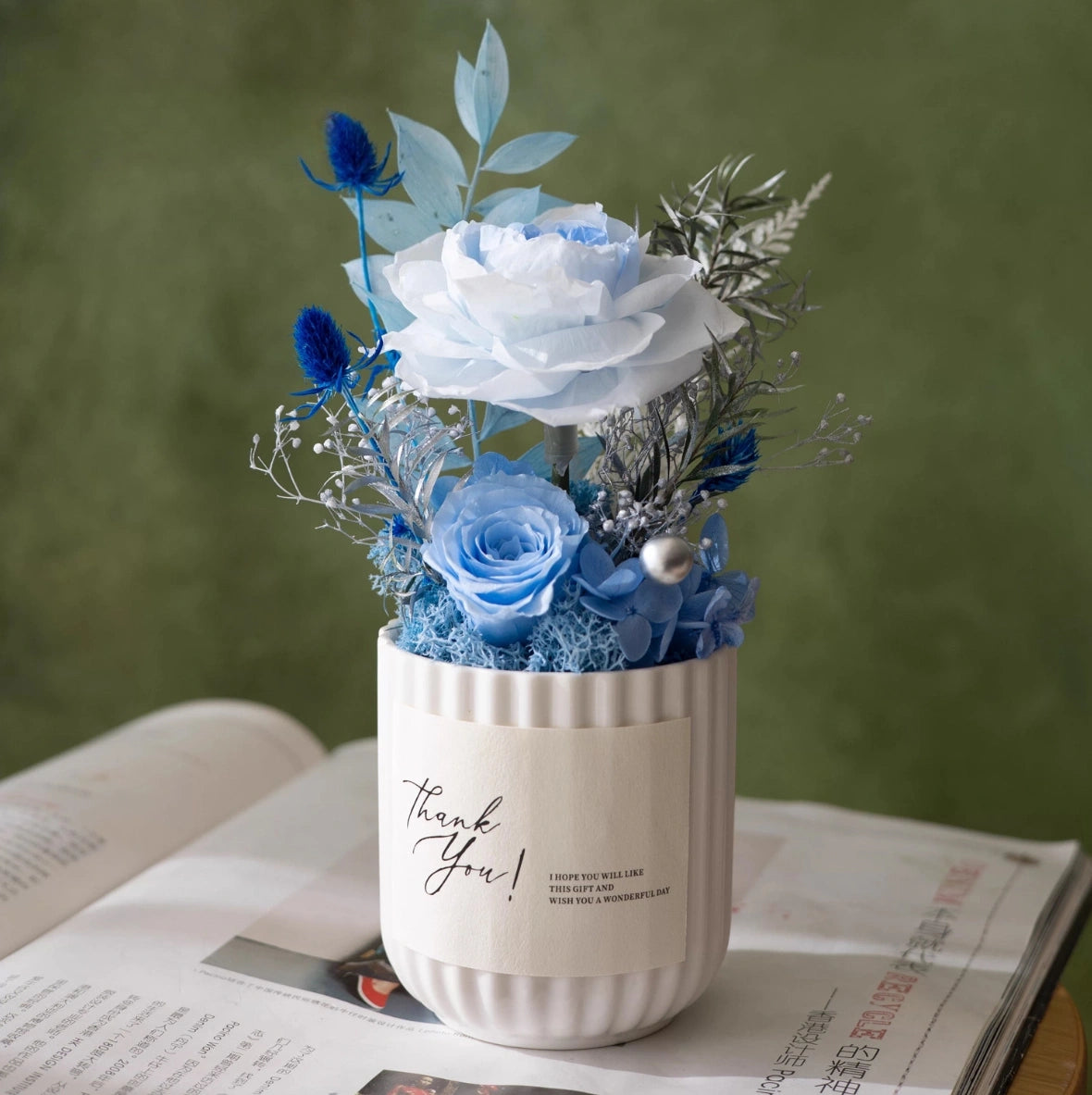 Preserved Rose Mini Potted Plant Gift Home Decor Austin Rose Sky Blue