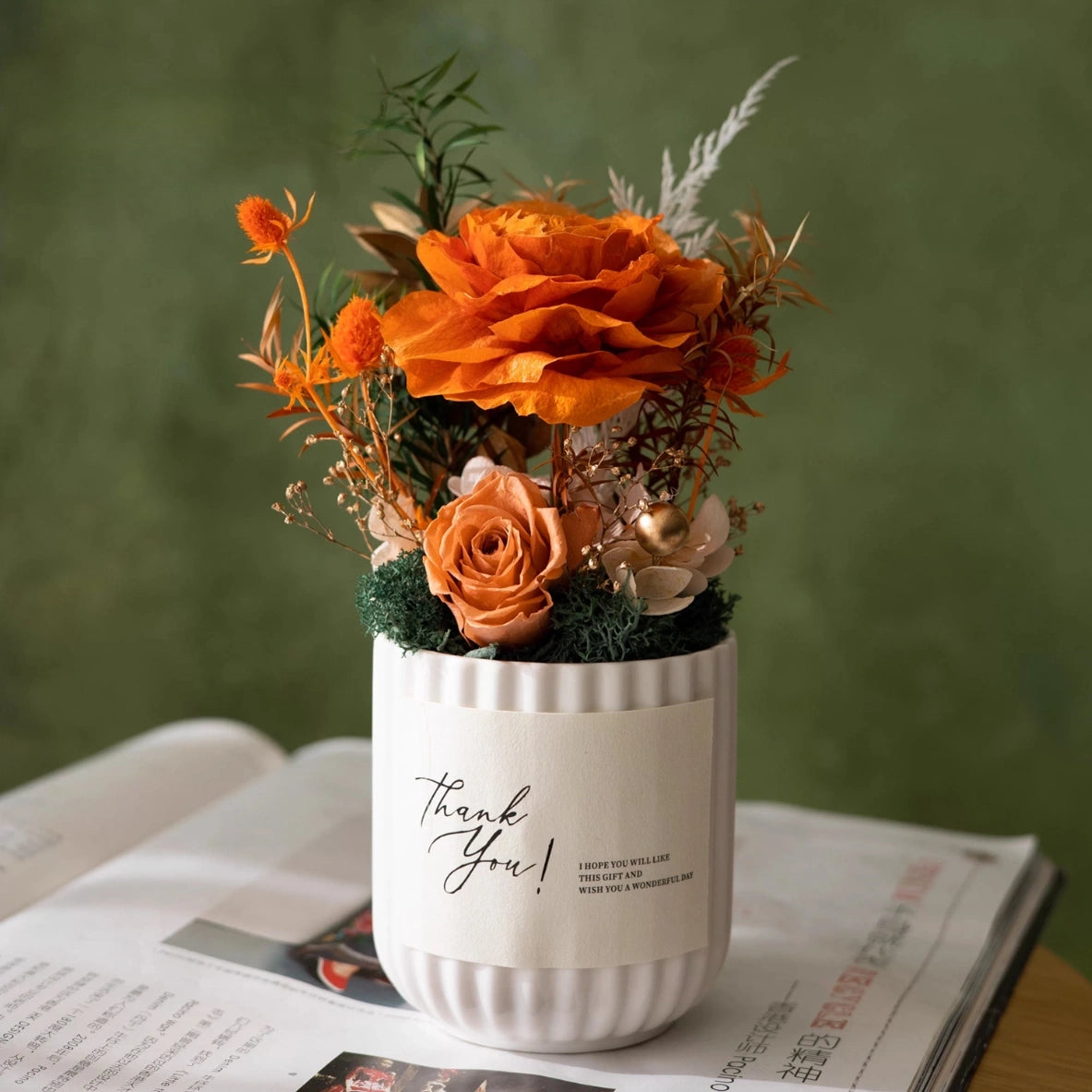 Preserved Rose  Mini Potted Plant Gift Home Decor Austin Rose Orange
