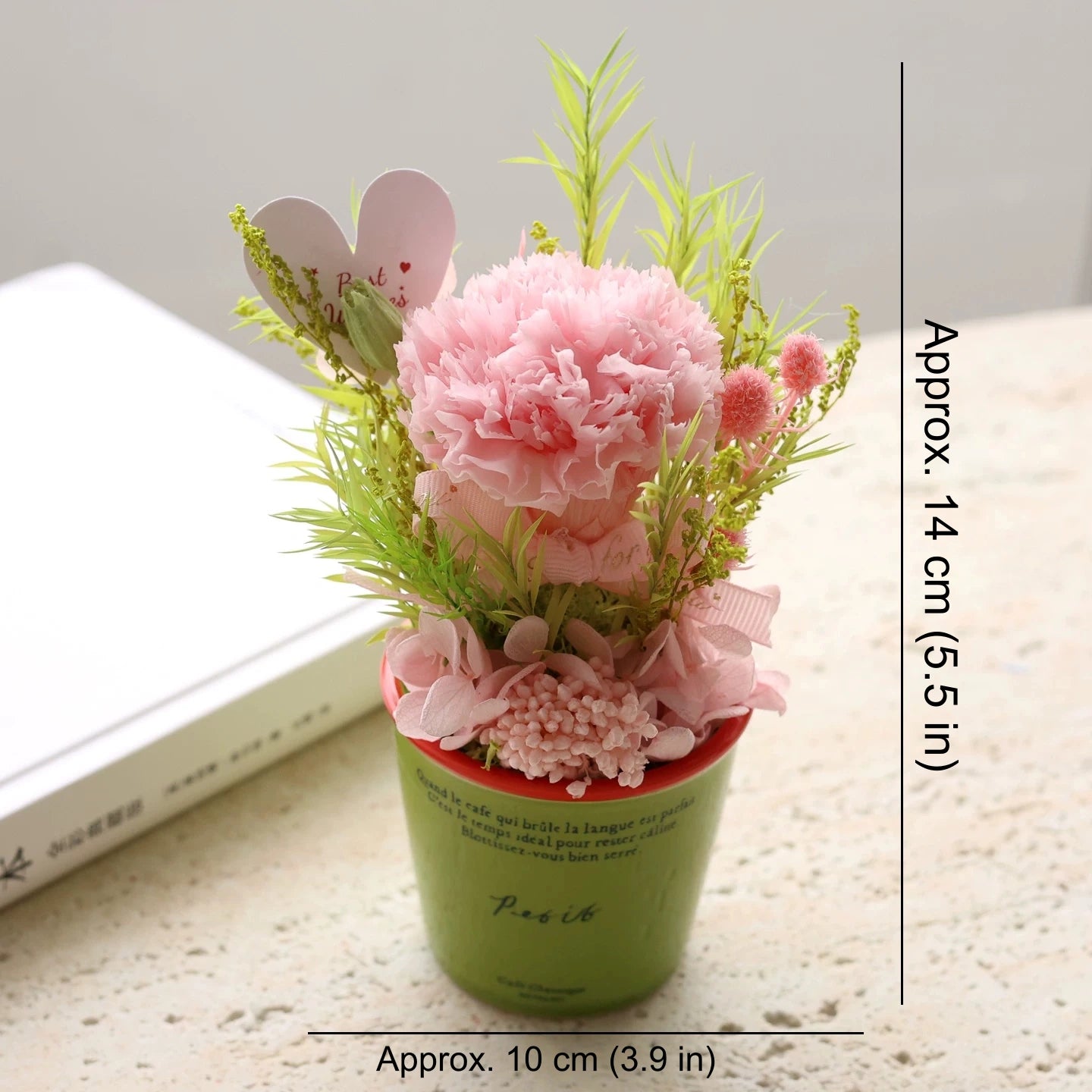 Preserved Carnation Mini Potted Plant Gift Home Decor Carnation Pink Green Pot