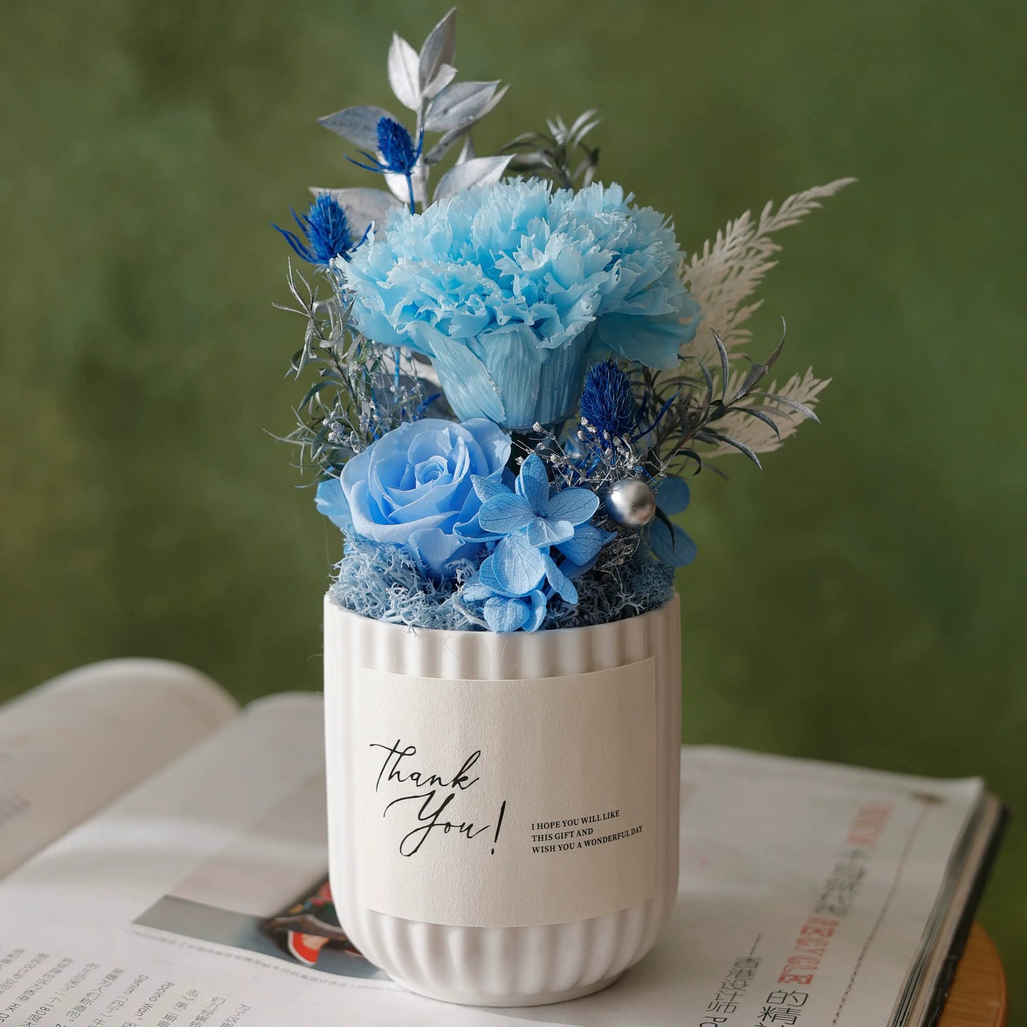 Preserved Carnation Mini Potted Plant Gift Home Decor Carnation Blue