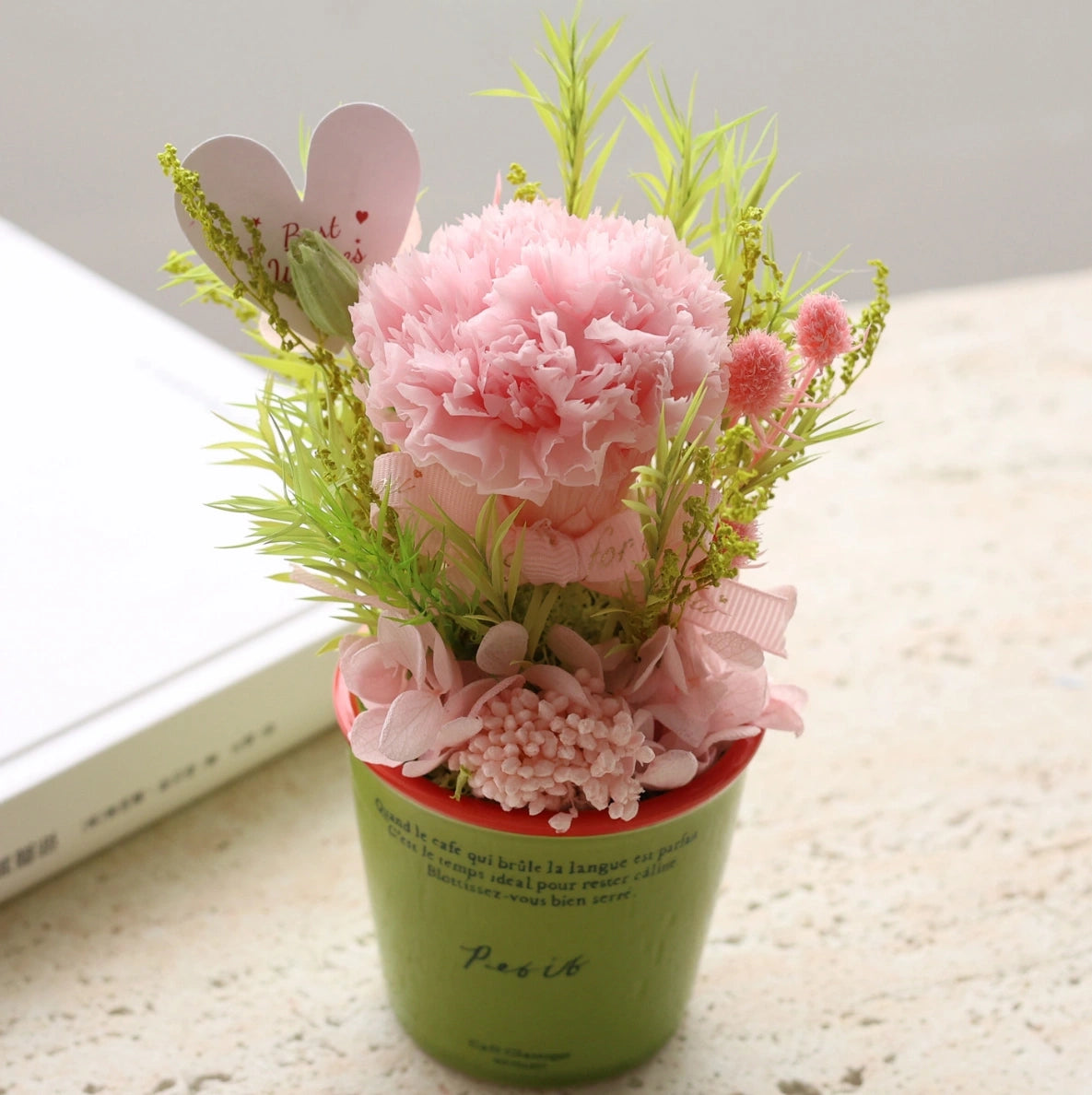 Preserved Mini Potted Plant Gift Home Decor Carnation Pink Green Pot