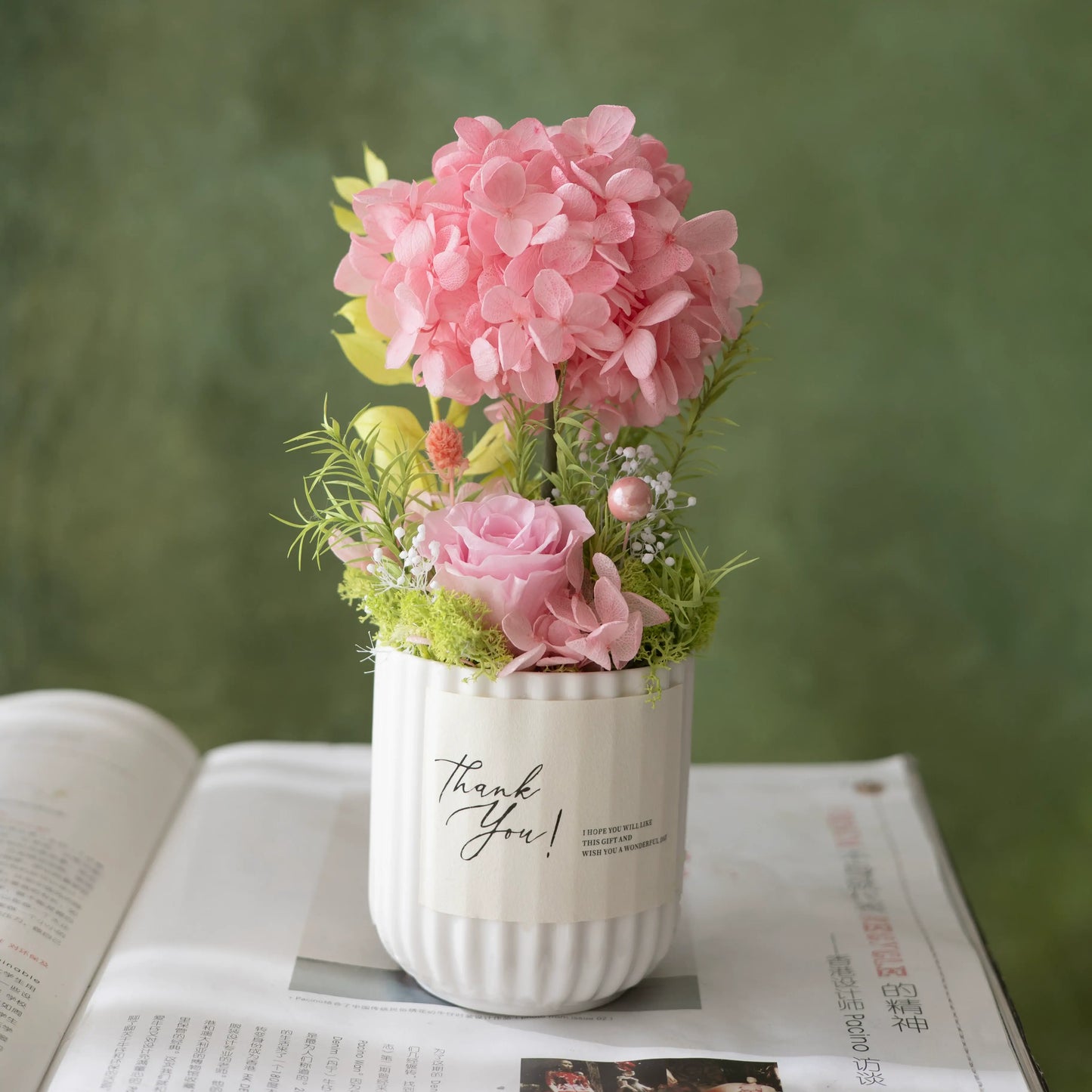 Preserved Hydrangea Mini Potted Plant Gift Home Decor Hydrangea Tree Pink