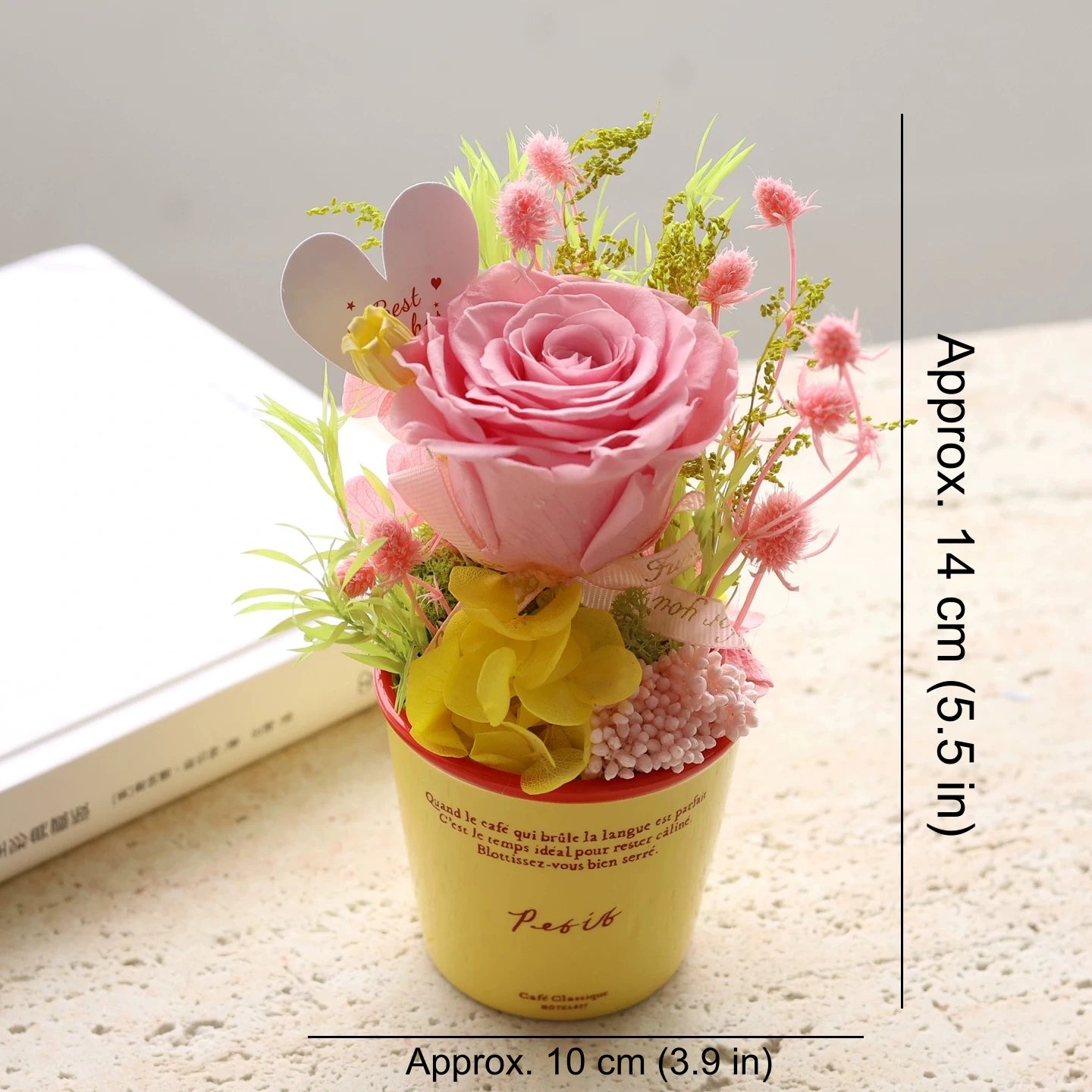 Preserved Rose Mini Potted Plant Gift Home Decor Cherry Blossom Pink