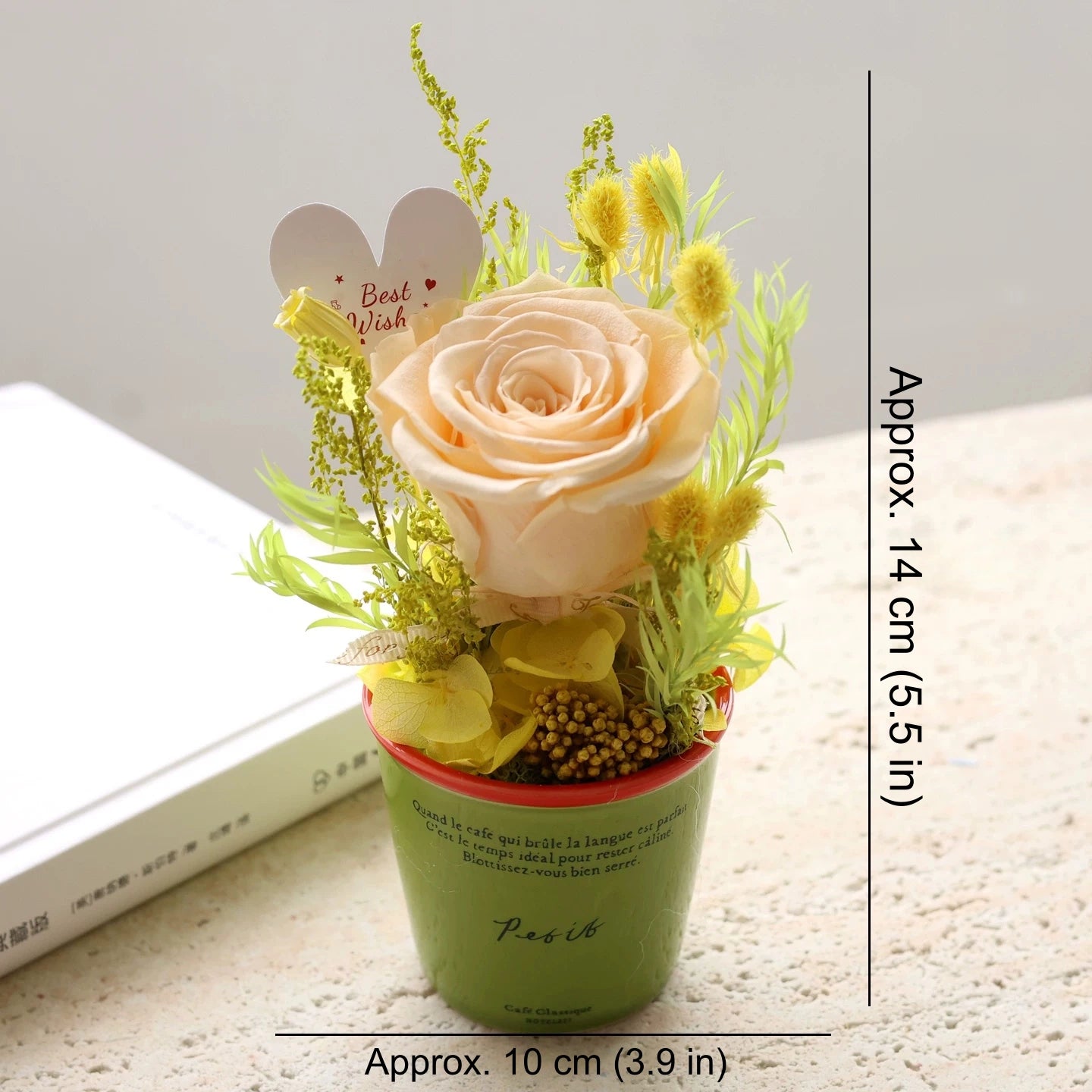 Preserved Rose Mini Potted Plant Gift Home Decor Champagne