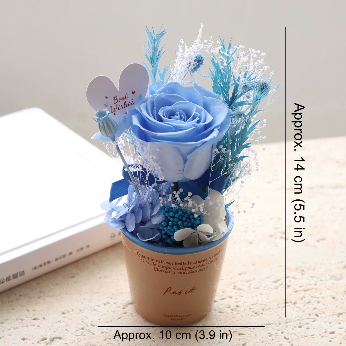 Preserved Rose Mini Potted Plant Gift Home Decor Blue
