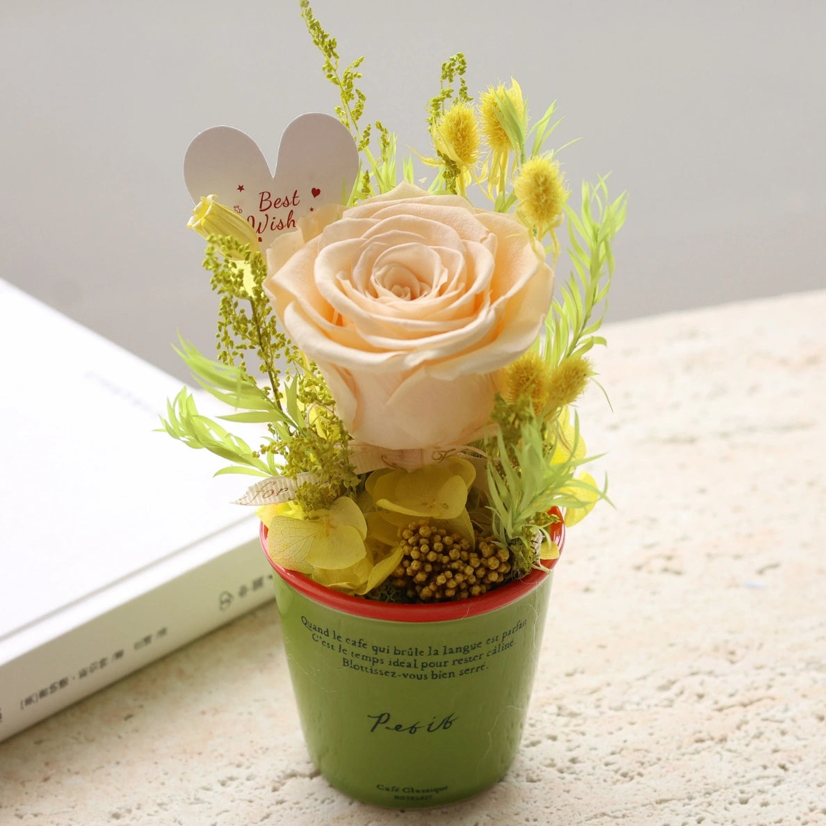 Preserved Rose Mini Potted Plant Gift Home Decor Champagne